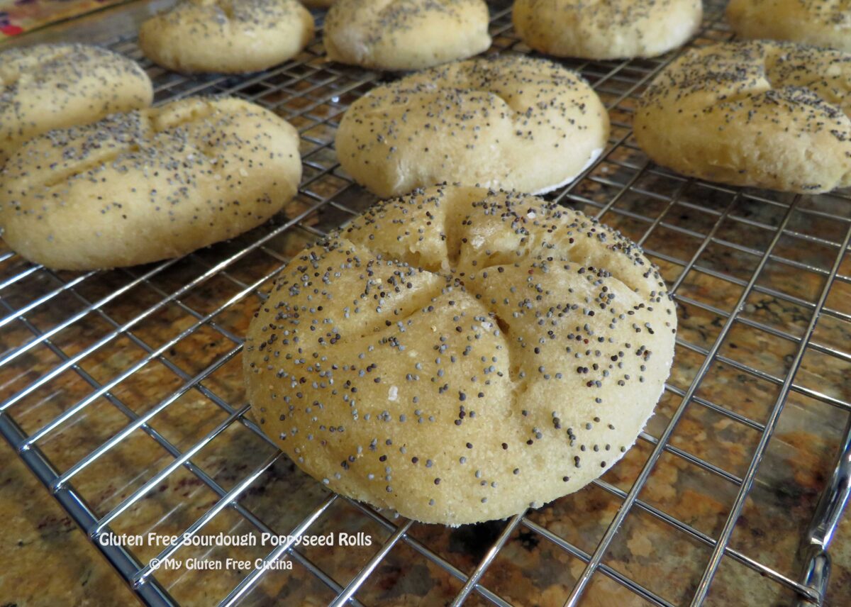 Gluten Free Sourdough Poppyseed Rolls